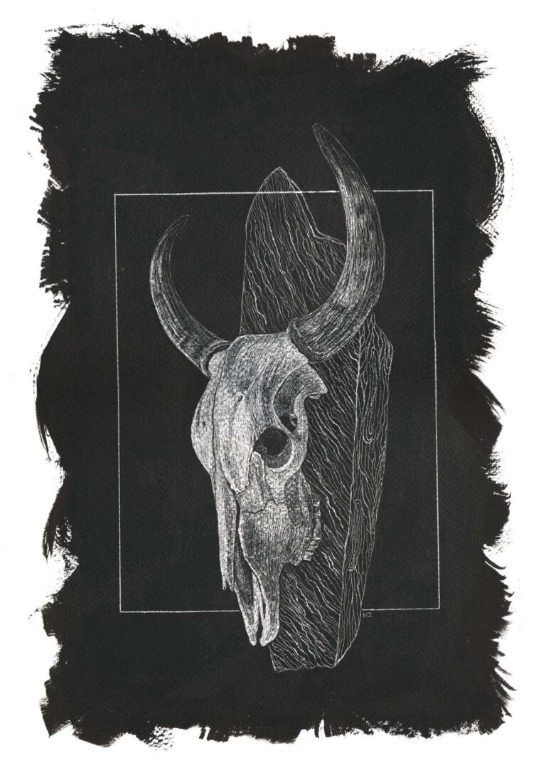 A meticulous scratchboard still life illustration of a cow skull mounted on a piece of weathered wood, highlighting the detailed etched textures of the aged bone, ridged horns, and deep vertical wood grain, framed by a rugged hand-painted black border.