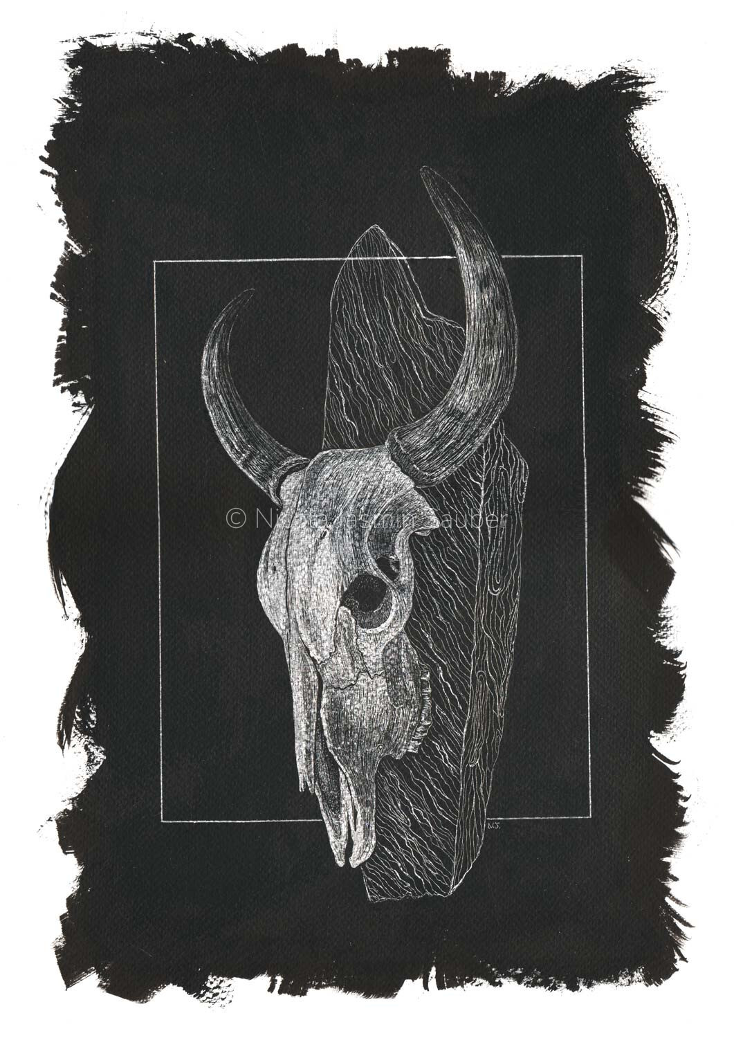 A meticulous scratchboard still life illustration of a cow skull mounted on a piece of weathered wood, highlighting the detailed etched textures of the aged bone, ridged horns, and deep vertical wood grain, framed by a rugged hand-painted black border.