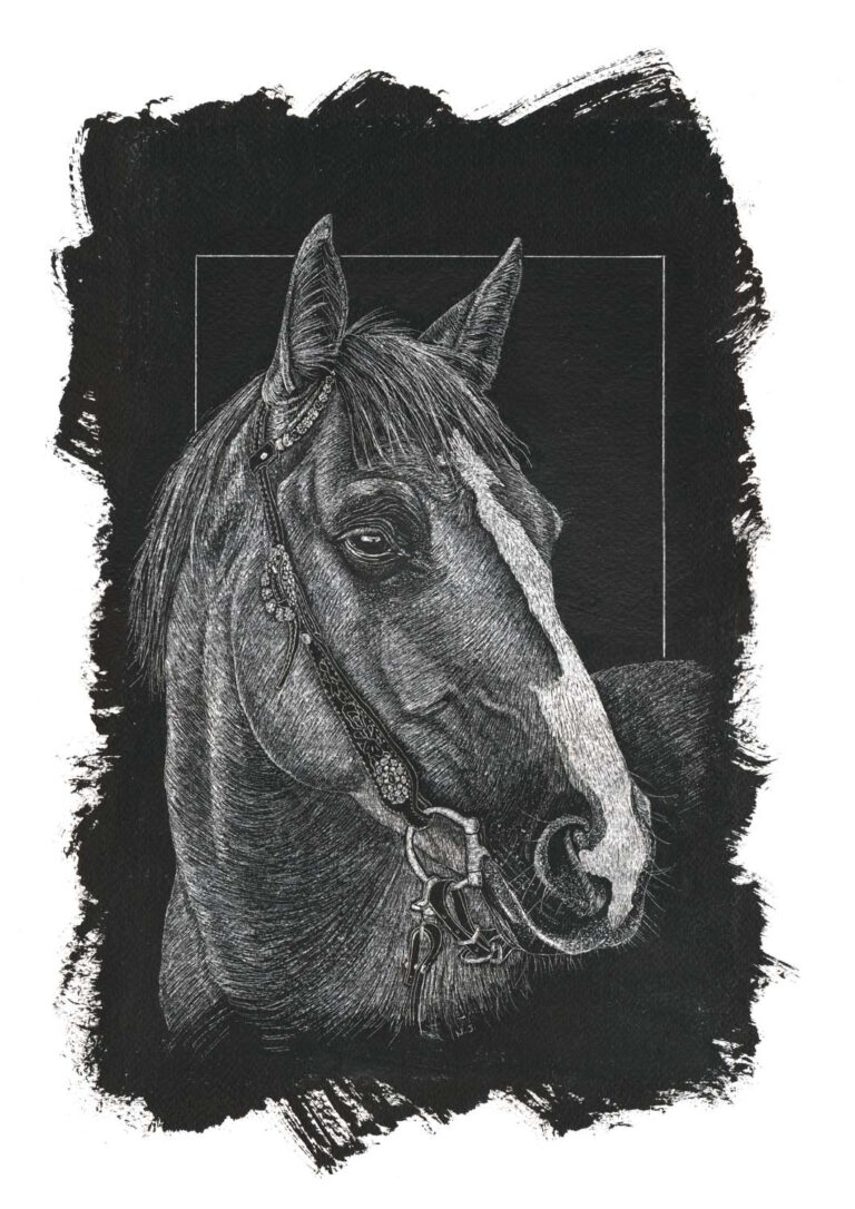 An exquisite scratchboard equestrian portrait of a horse wearing detailed leather tack, highlighting the intricate etched textures of its short coat, a white blaze facial marking, and ornate bridle details, framed by a rugged hand-painted black border.