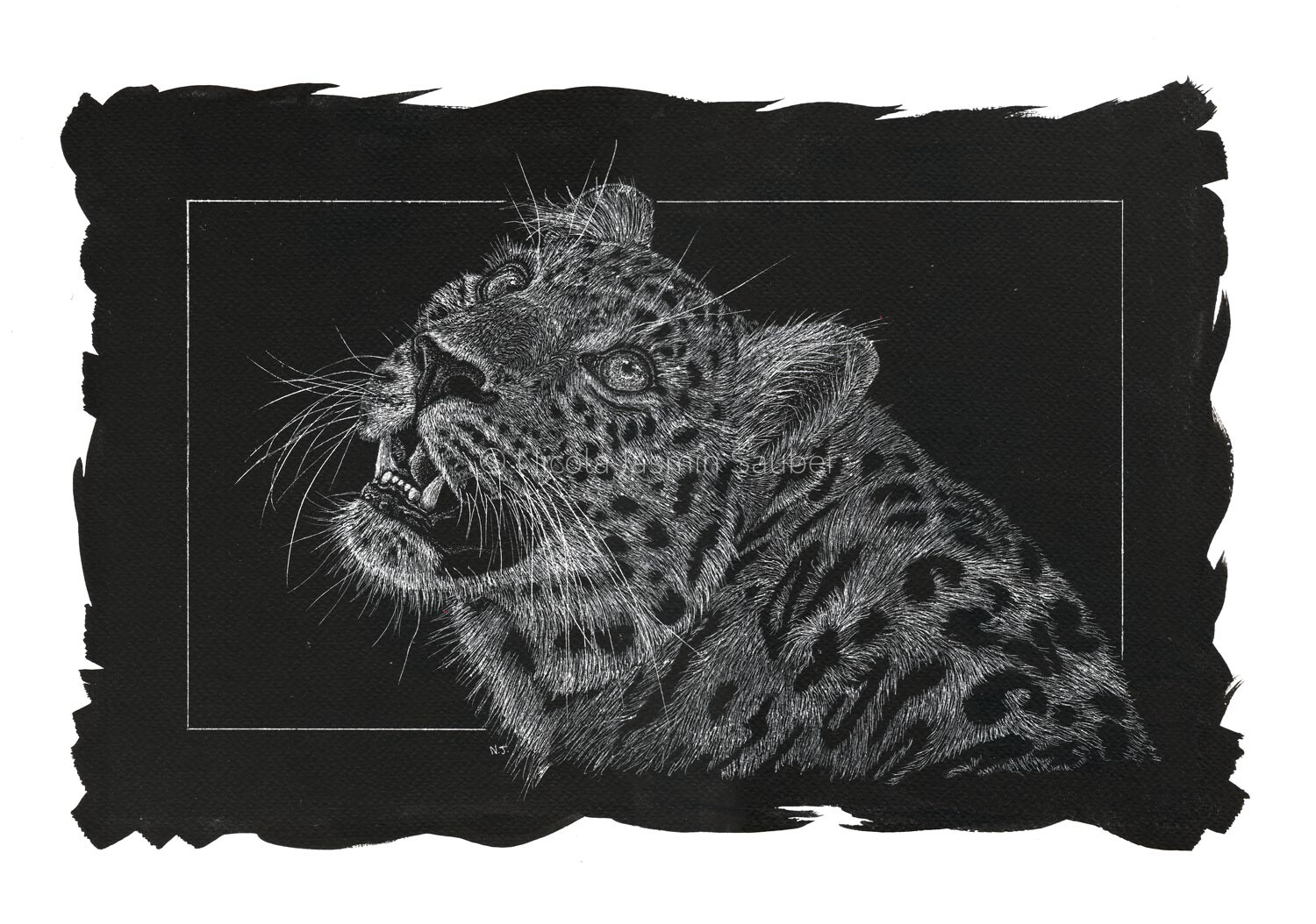 amur leopard web